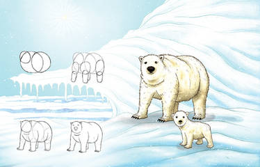 Learning to draw animals - Polar Bear