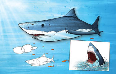 Learning to draw animals - Great White Shark