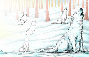 Learning to draw animals - Arctic Wolf
