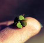 Green fingerprint by LaZiaIla