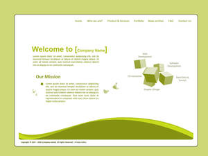 Company Web Design