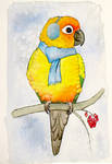 Cozy Parrot by greencheek