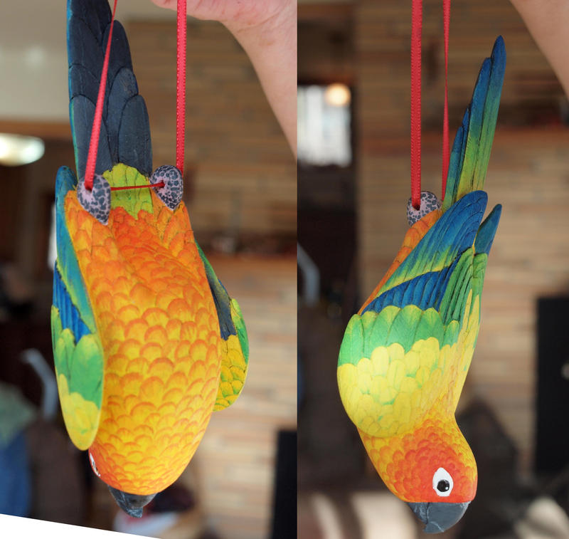 Sun Conure Carving