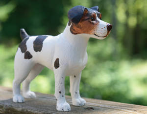 Rat Terrier Carving