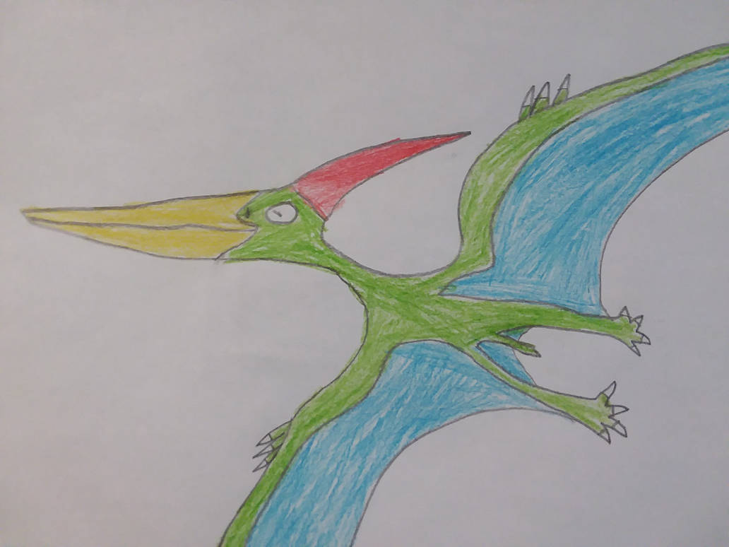 Pterazord By EvanKlein1 On DeviantArt pterazord-by-evanklein1-on-deviantart