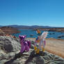 Ponies at Don Pedro Lake