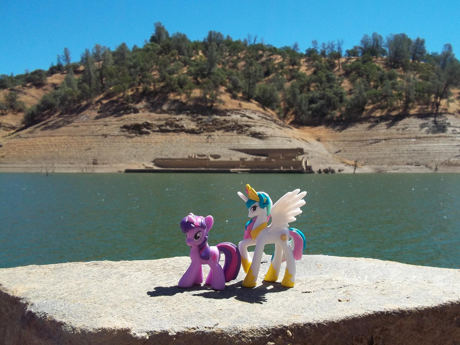 Ponies at the Eagle Shawmut Mine