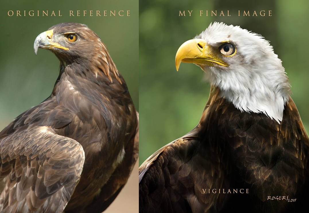 Original Reference Original Reference by David-Rogers on DeviantArt