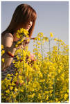 .summer in the city. by Rijama