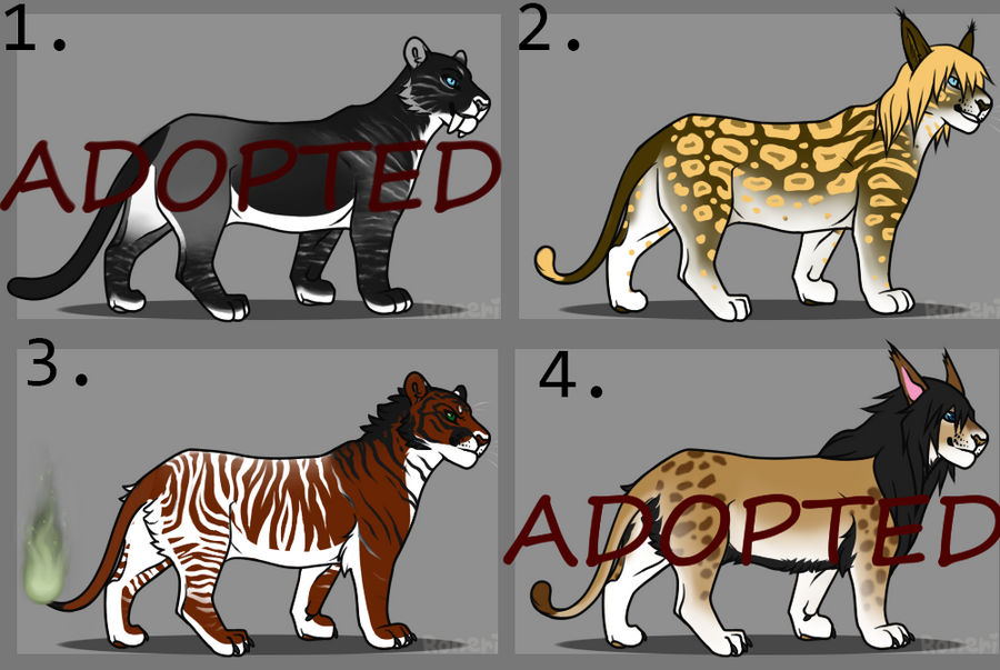 Adopt batch 1