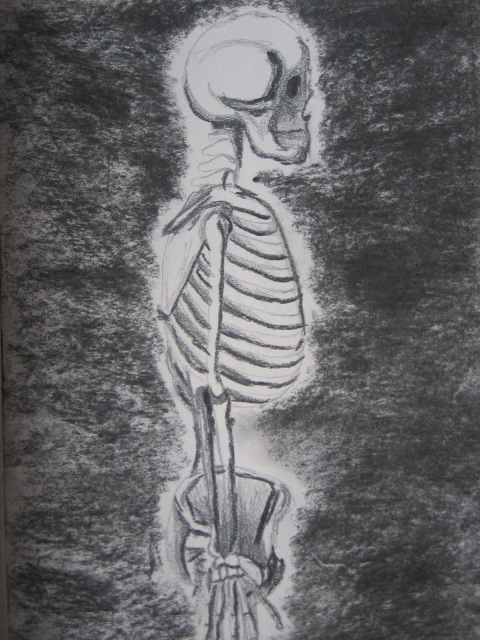 Skelleton by Calucifer on DeviantArt