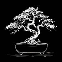 Ai Bonsai Tree