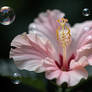 Ai Flower Bubbles