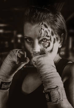 Eye Of The Tiger