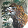 Golden Eagle on Wood