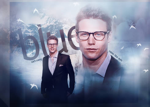 Zach Roerig | Blend