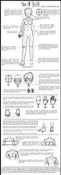 Anatomy Tips 'n' Tricks