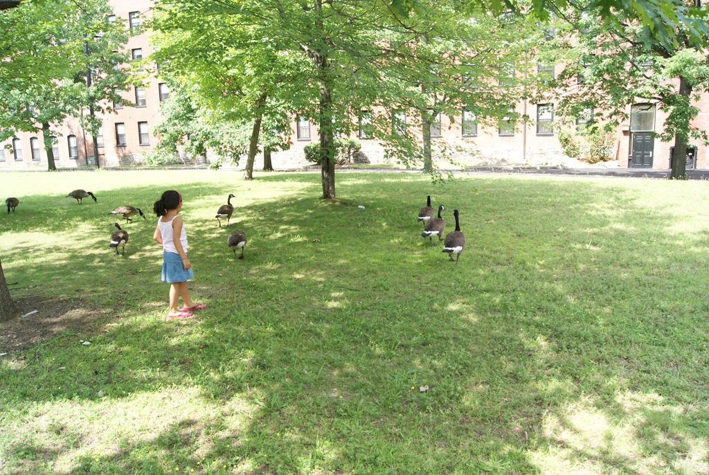 girl and geese - original