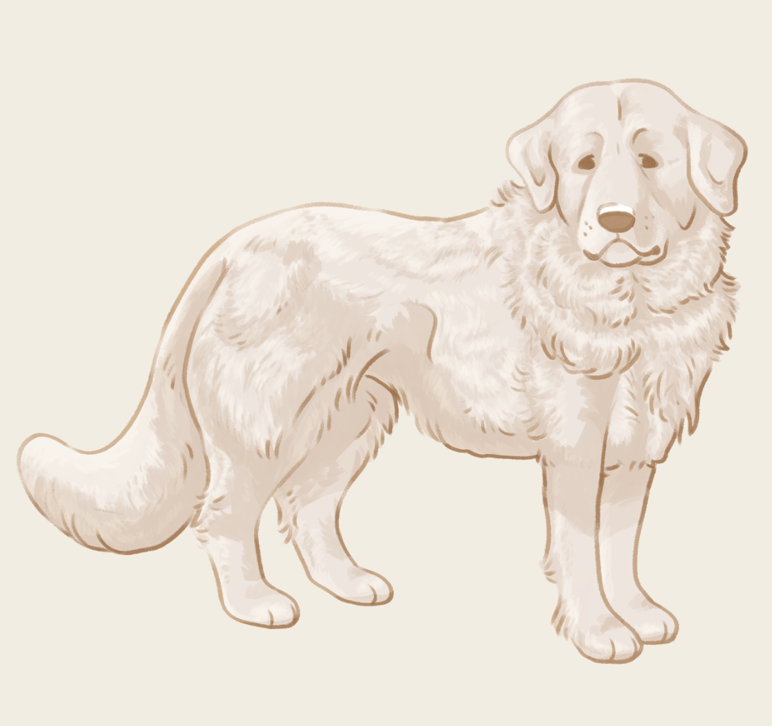Great Pyrenees Sticker by the-original-ncdogg on DeviantArt
