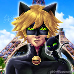 Chat Noir