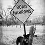 The Narrow Road