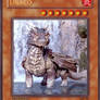 Draco Yu-Gi-Oh Card