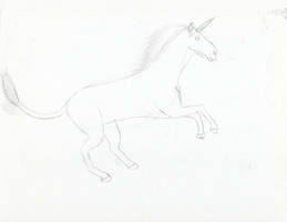Unicorn Sketch