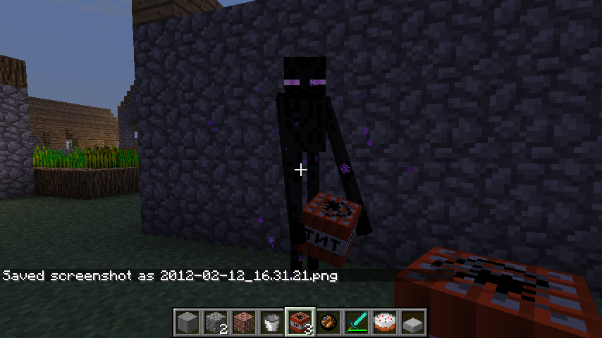 Marty the Enderman