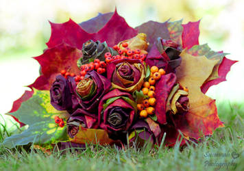 Autumn gift by PhotoBySavannah