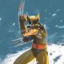 Wolverine