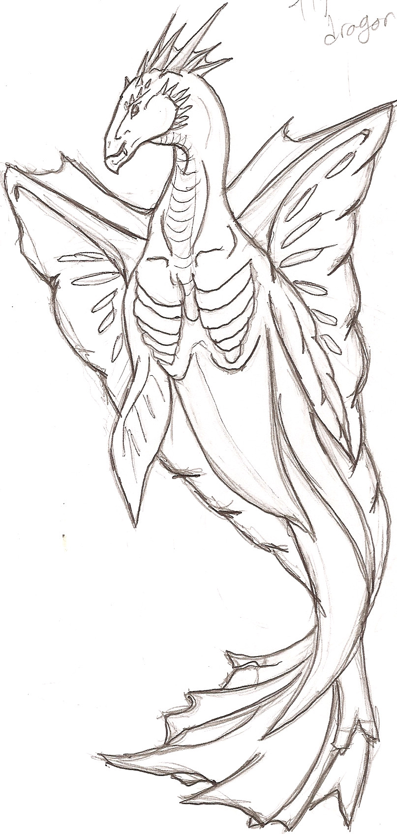 MerDragon by SaphiraMay on DeviantArt