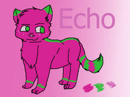 Echo Ref