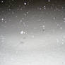Falling Snow Texture