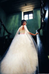 Elegant Bride 3