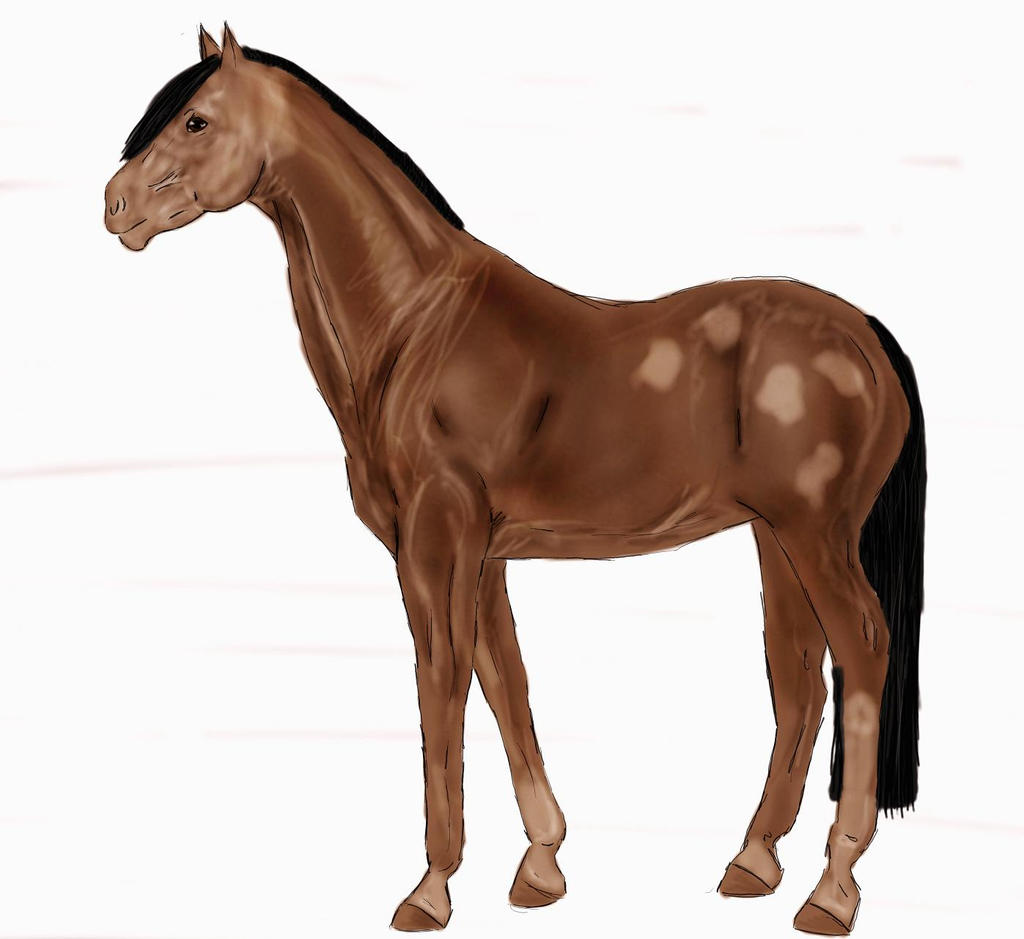 Horse Adopt 1, COST 1 POINT, CLOSED