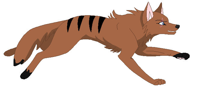 wolf OC by Leepercorn on DeviantArt