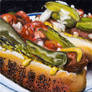 Chicago Style Hot Dog