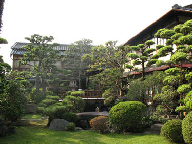 Hotel garden 2