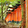 Fushimi-Inari 21