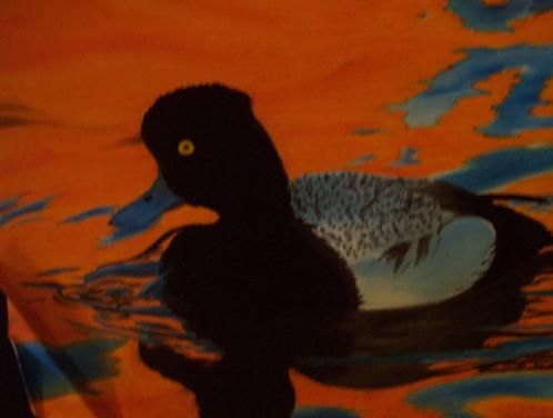 Duck Stamp year 2