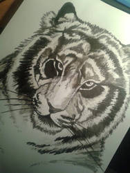 Ink Tiger