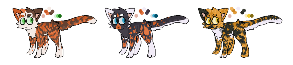 Tortoiseshell cat adoptable auction (CLOSED!)