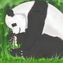 Giant Panda color