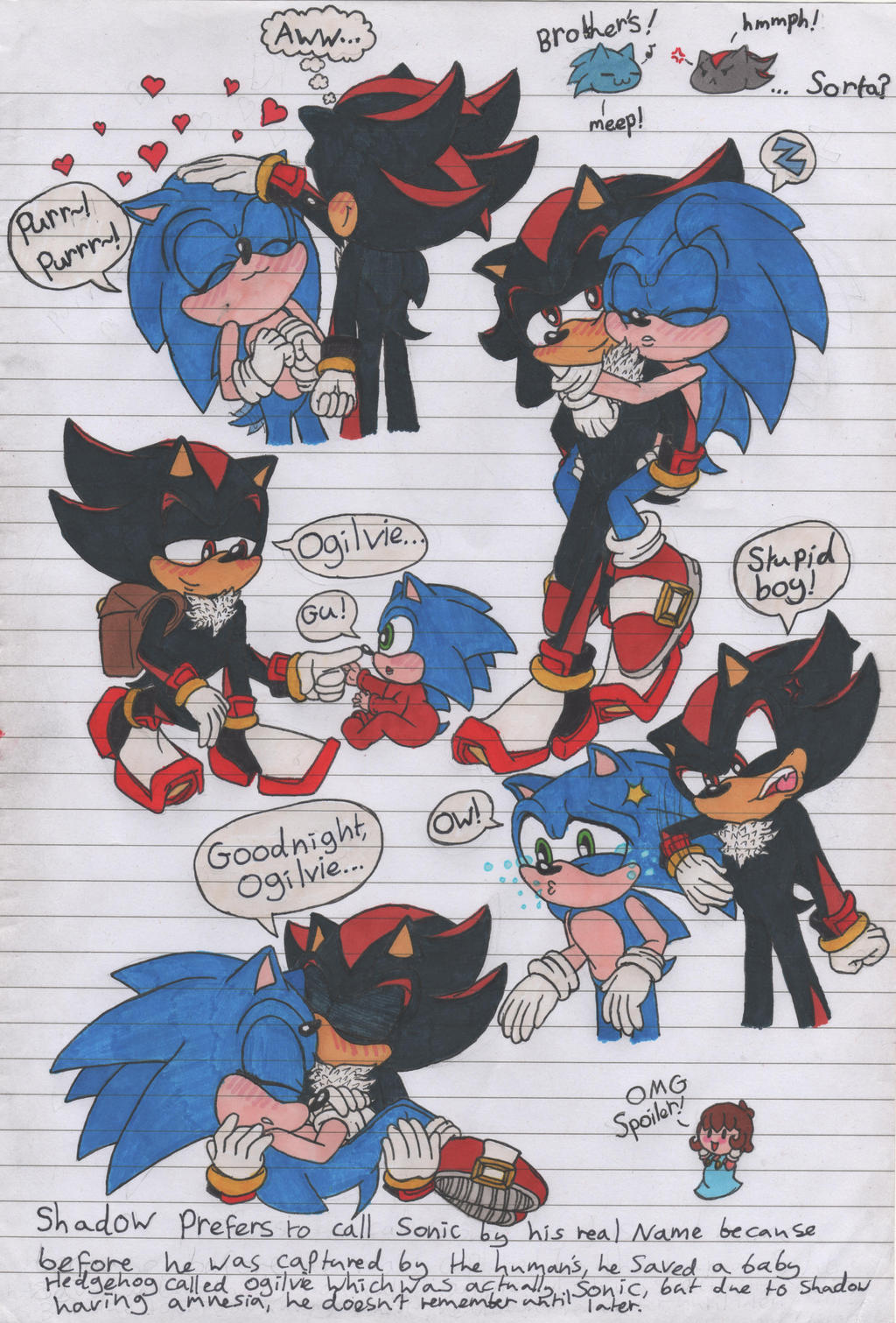 Why do some of the Sonic fans ship Sonic and Shadow? It doesn't