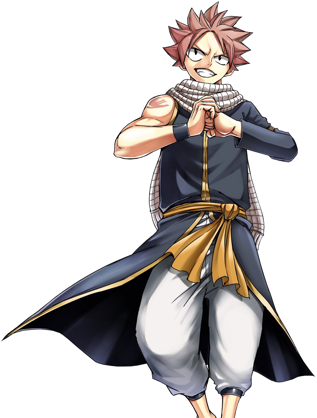 Natsu Dragneel on Twitter  Fairy tail pictures, Fairy tail anime