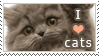 Stamp: I love cats by jelloween