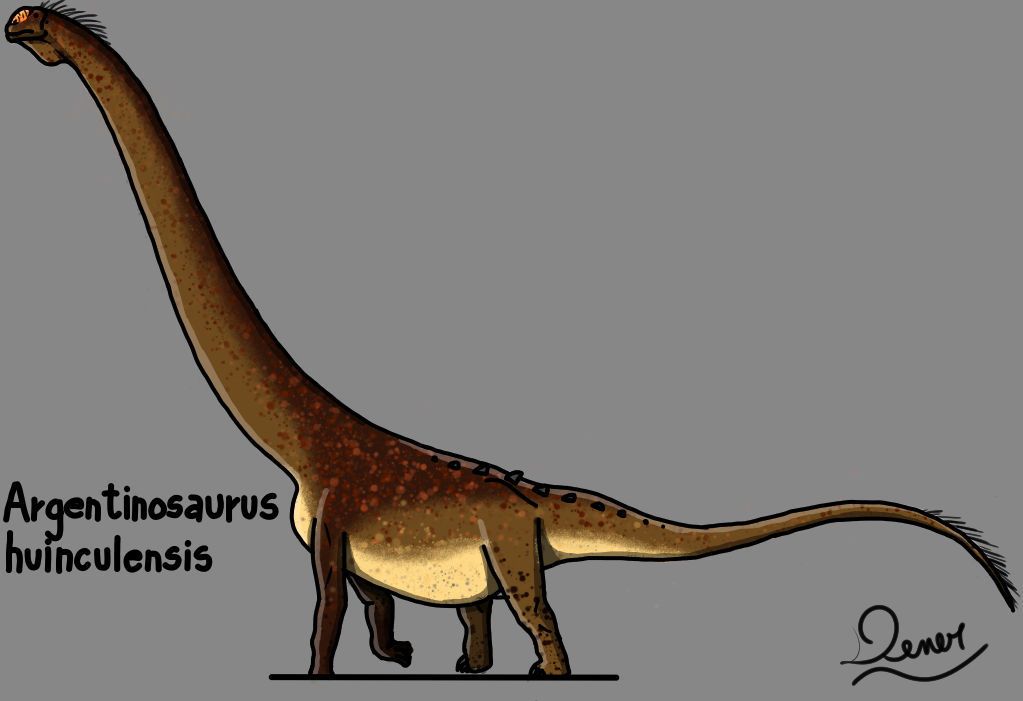 Argentinosaurus huinculensis by Ognimdo2002 on DeviantArt