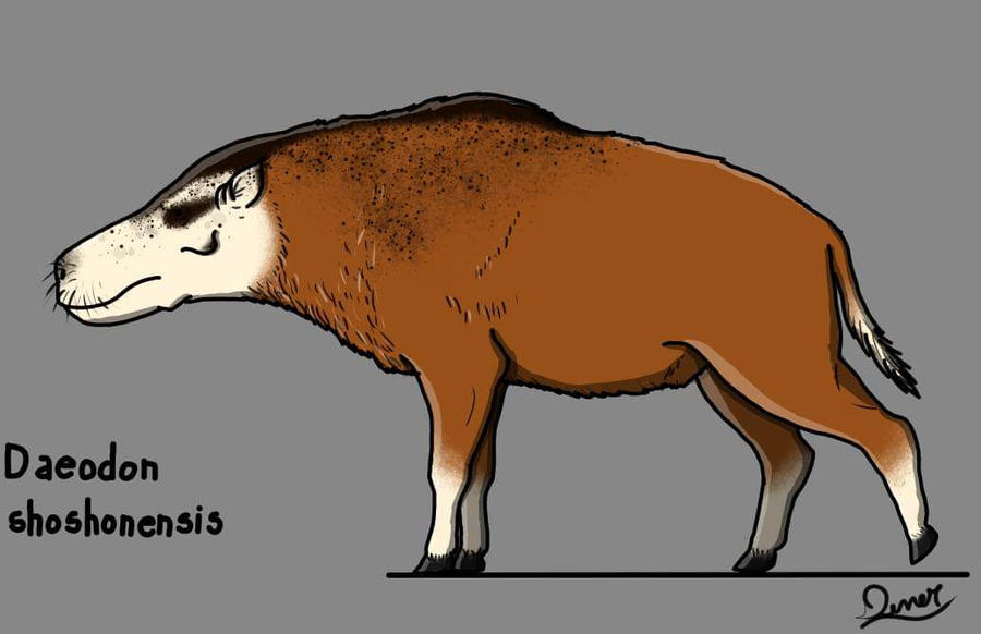 Daeodon by DenerDPaleoarts on DeviantArt