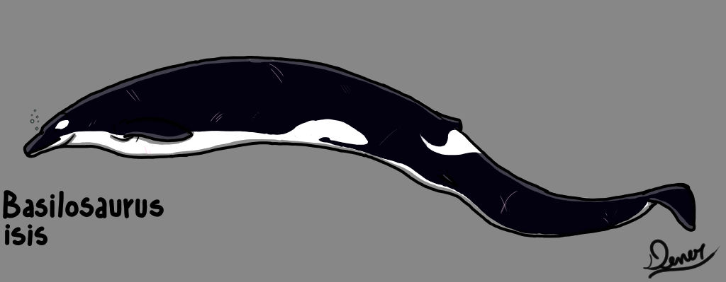 Basilosaurus Deviantart Basilosaurus by DenerDPaleoarts on DeviantArt