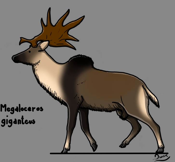 Megaloceros by DenerDPaleoarts on DeviantArt